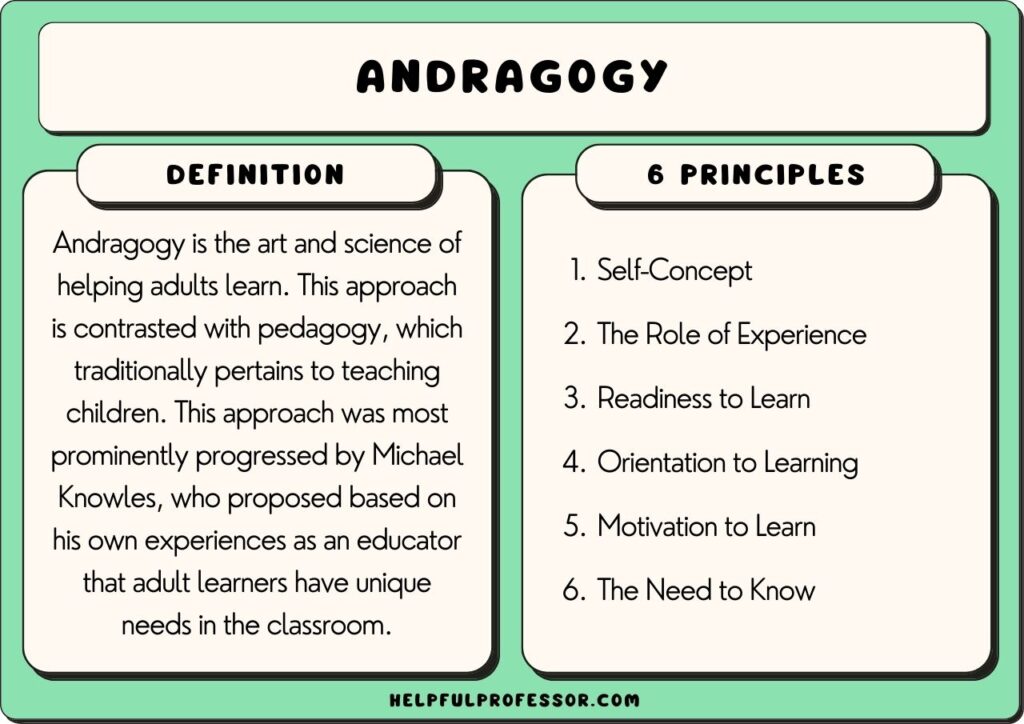andragogy principles and definition, explained below