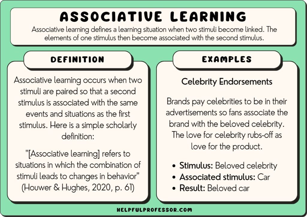 associative learning examples and definition explained below