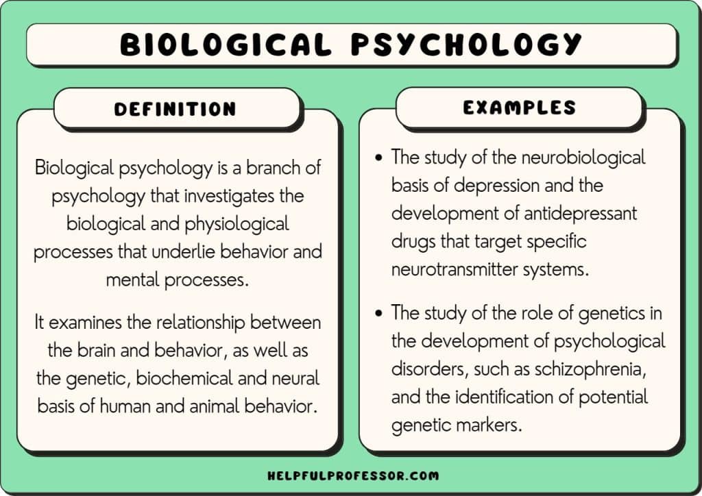 biological psychology examples and definition