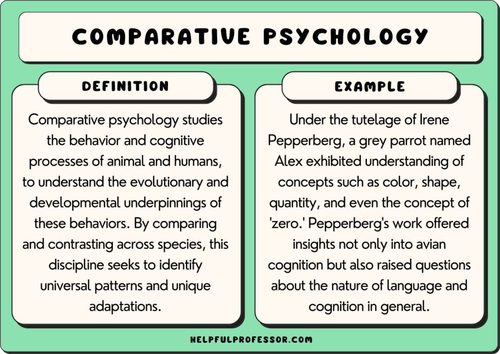 Comparative psychology examples and definition, explained below