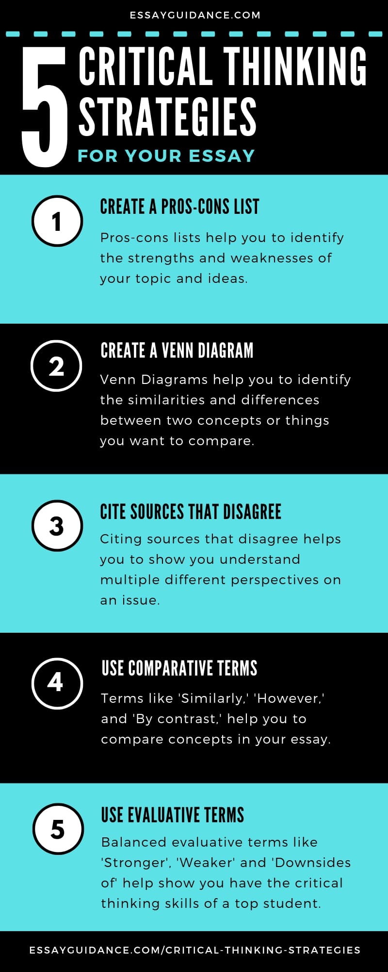 Critical Analysis Essay