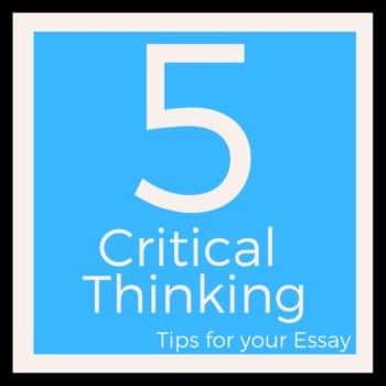 Critical Analysis Essay