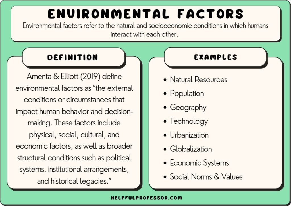 environmental factors examples and definition