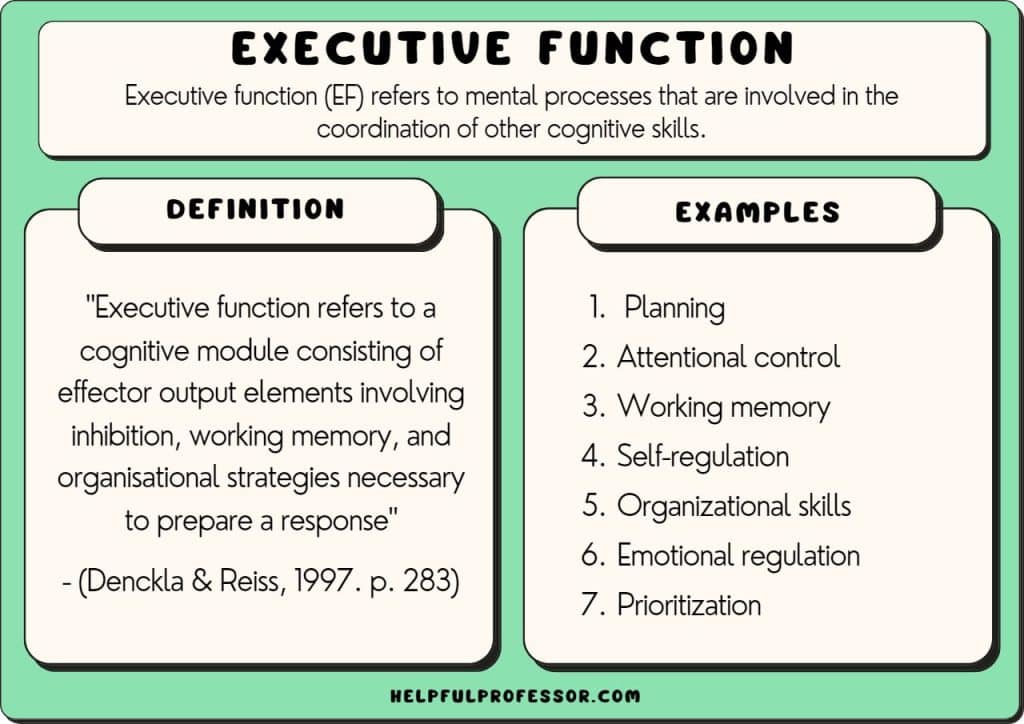 executive function examples and definition