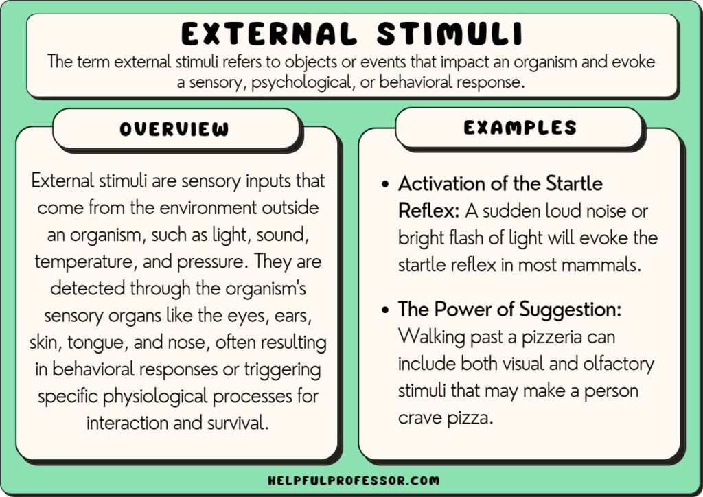 external stimuli examples and definition, explained below