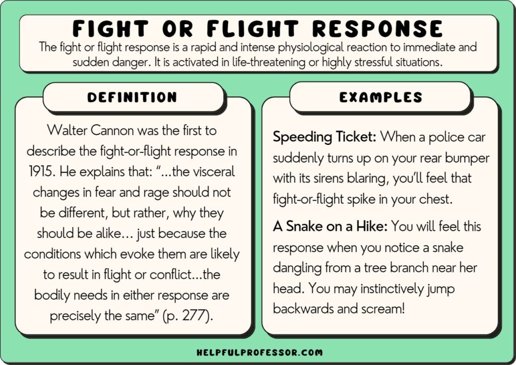 fight or flight response examples and definition