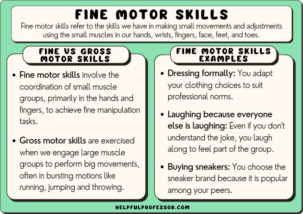 fine motor skills examples and definition, explained below