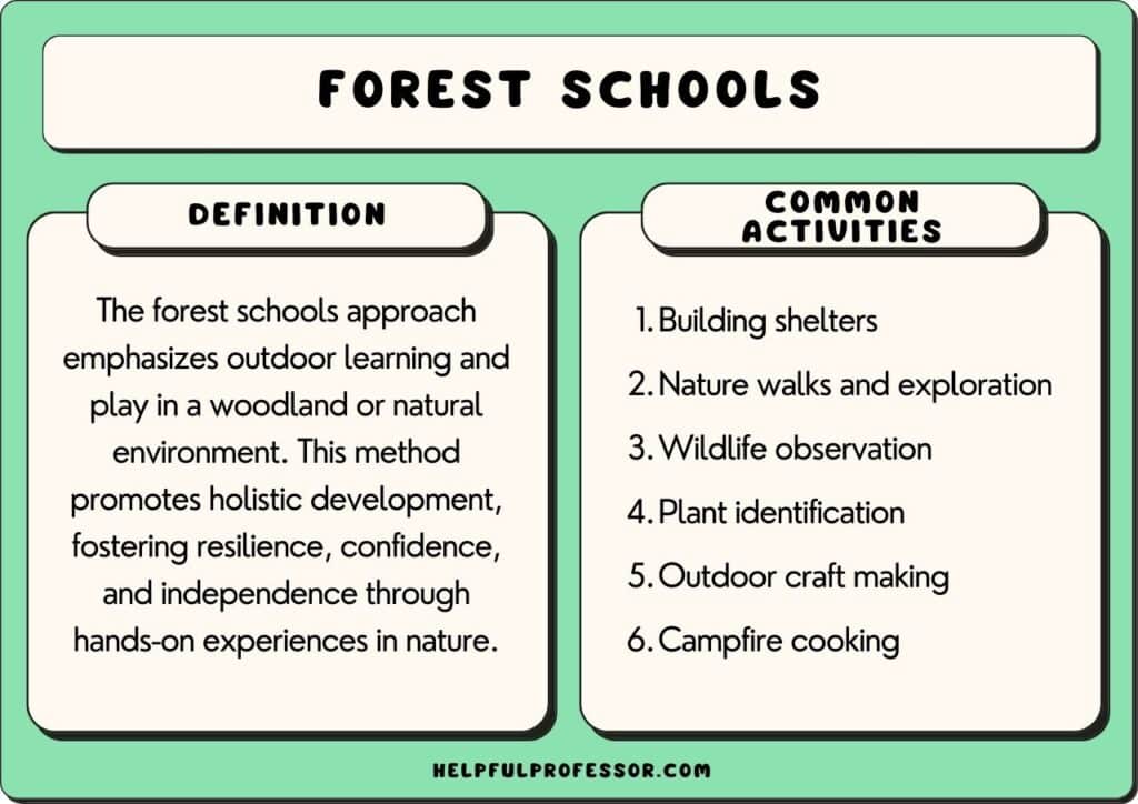 forest schools definition and activities, explained below