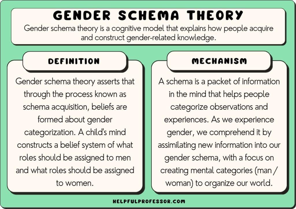 gender schema theory example and definition