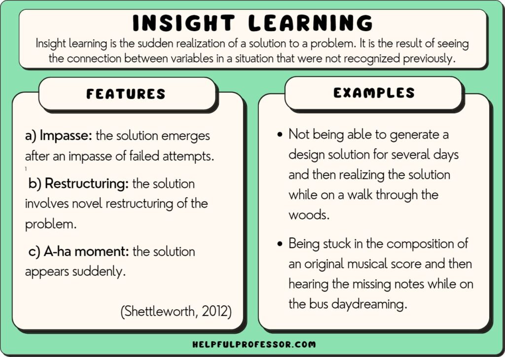 insight learning examples definition and features