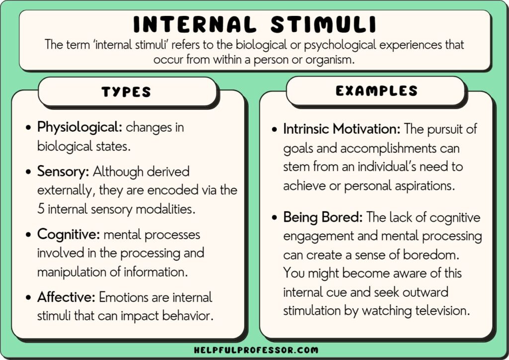 internal stimulus examples and definition, explained below