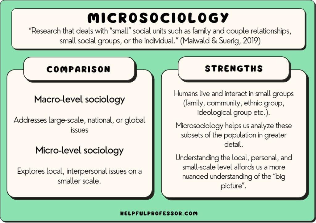 microsociology definition