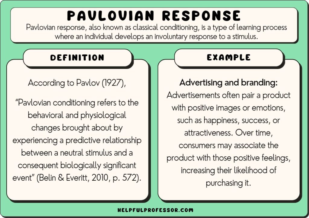 pavlovian response example and definition, explained below