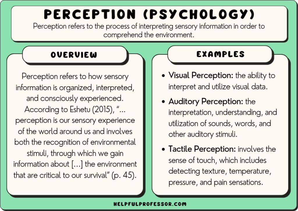 perception in psychology examples and definition, explained below