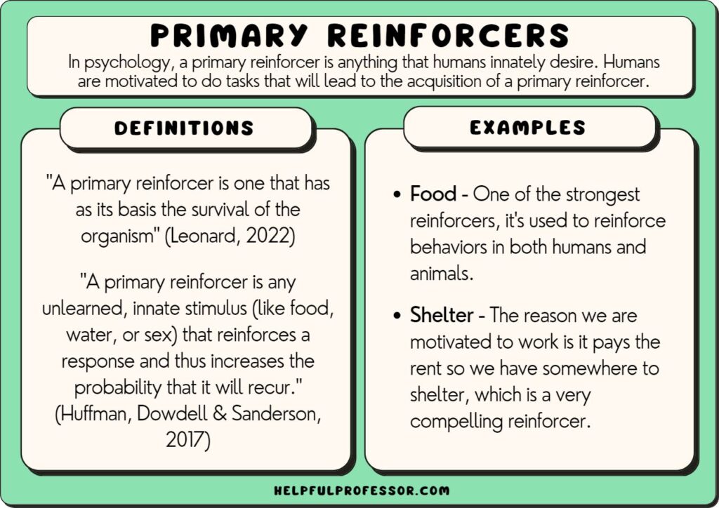 primary reinforcer examples and definition