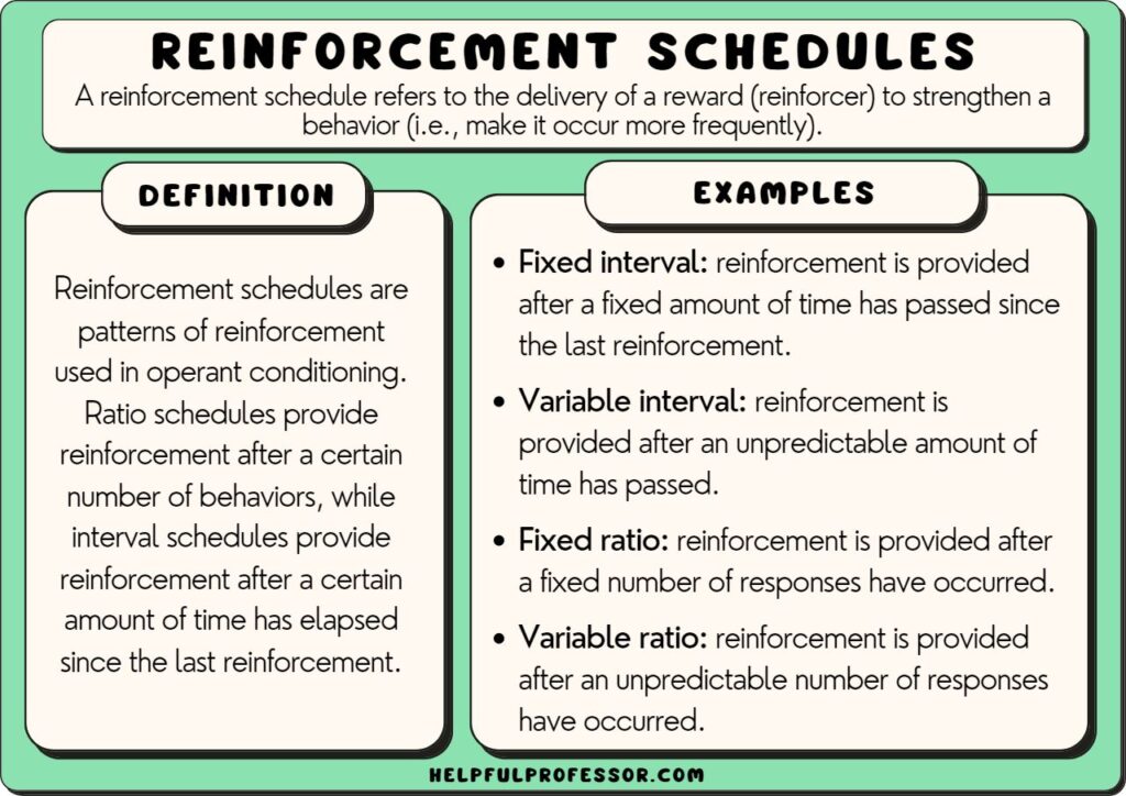 reinforcement schedule examples and definition, explained below