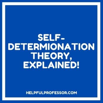 self determination theory explained
