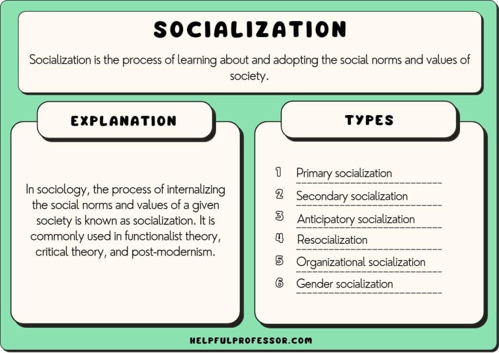 socialization definition types examples