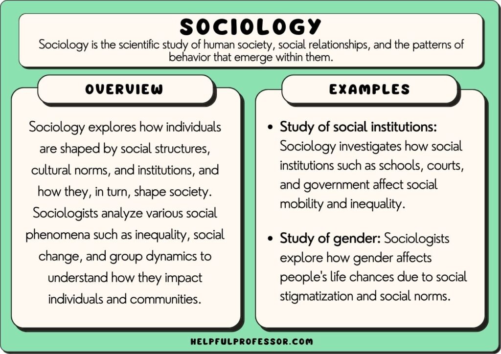 sociology examples and definition, explained below