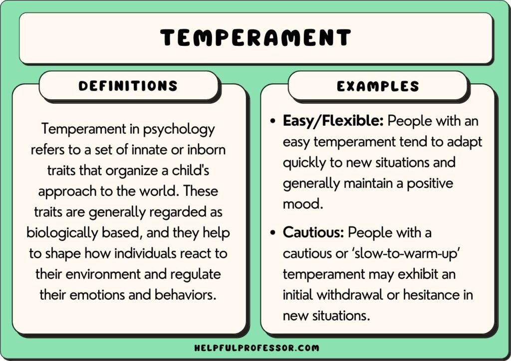 temperament examples and definition, explained below