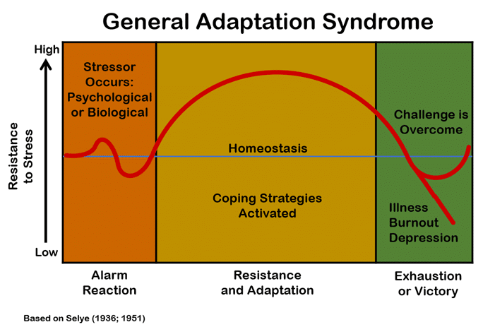 graphical representation of general adaption syndrom, demonstrating higher resistance to stress during the resistance and adaptations stage, see description below